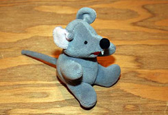 mouse