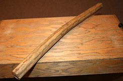 rain_stick